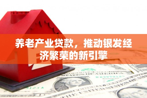 武侯养老产业贷款，推动银发经济繁荣的新引擎