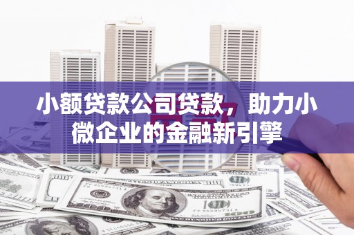 泰武小额贷款公司贷款，助力小微企业的金融新引擎