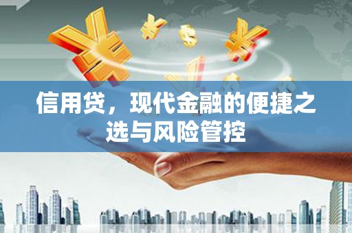保税区信用贷，现代金融的便捷之选与风险管控