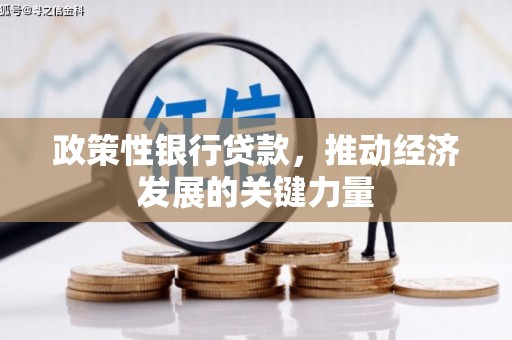 梓潼政策性银行贷款，推动经济发展的关键力量