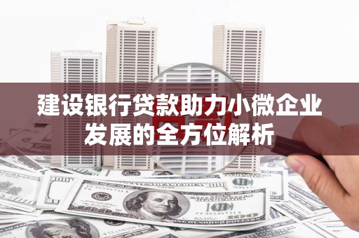 沈河建设银行贷款助力小微企业发展的全方位解析
