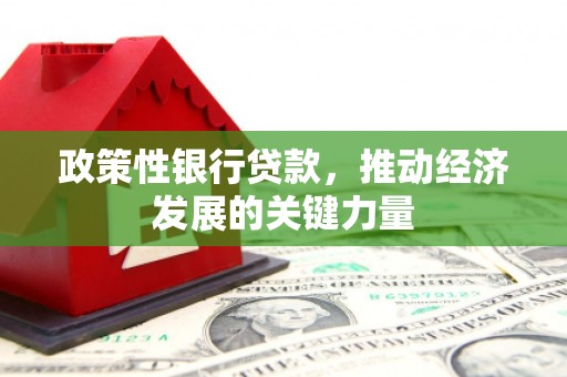 咸宁政策性银行贷款，推动经济发展的关键力量
