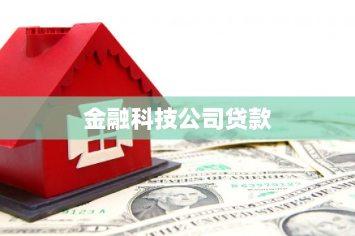 通城金融科技公司贷款