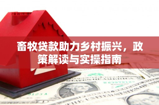 蒸湘畜牧贷款助力乡村振兴，政策解读与实操指南