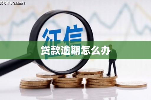 甘谷贷款逾期怎么办