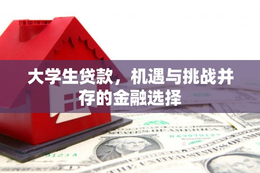 历城大学生贷款，机遇与挑战并存的金融选择