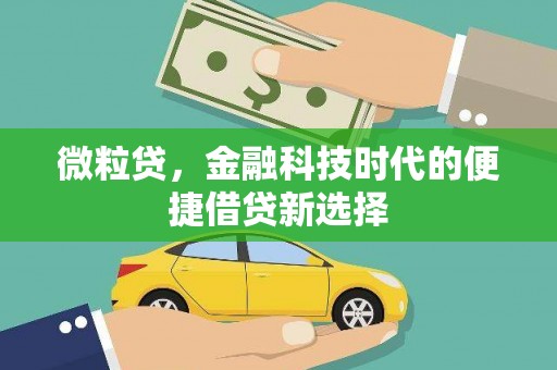 金溪微粒贷，金融科技时代的便捷借贷新选择