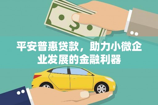 宁河平安普惠贷款，助力小微企业发展的金融利器