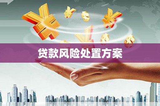 海港贷款风险处置方案