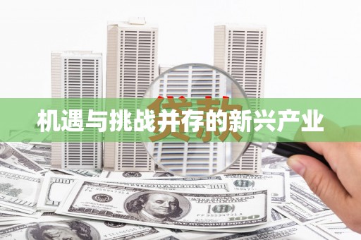 西陵机遇与挑战并存的新兴产业
