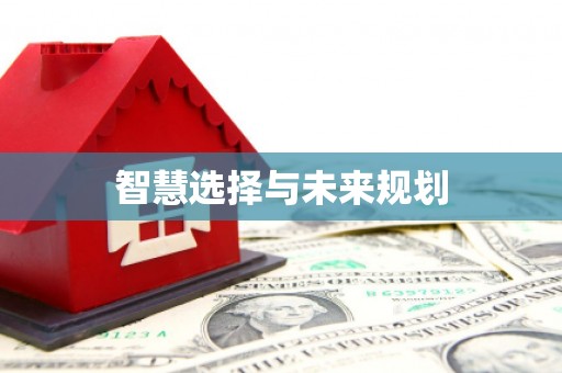 平南智慧选择与未来规划