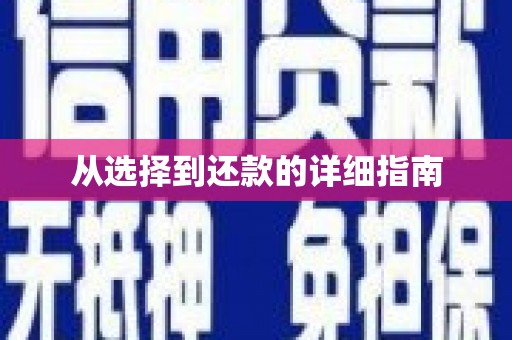 市中区从选择到还款的详细指南