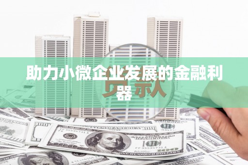 德宏助力小微企业发展的金融利器