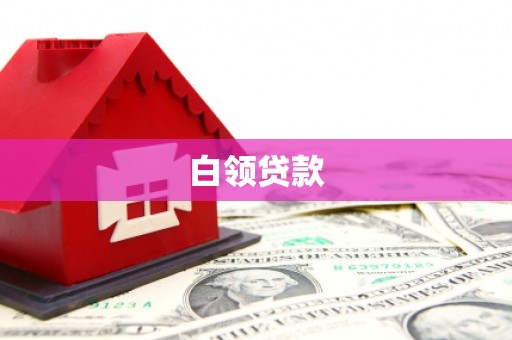 沿河白领贷款