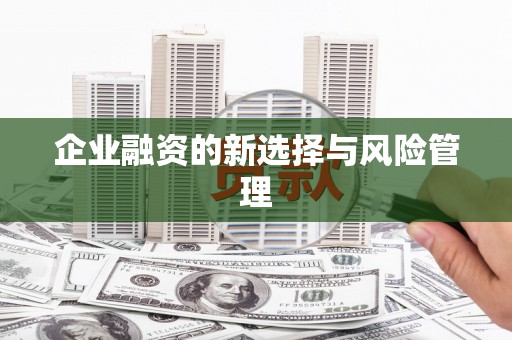 薛城企业融资的新选择与风险管理