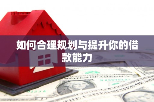 太子河如何合理规划与提升你的借款能力