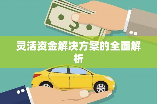 集美灵活资金解决方案的全面解析