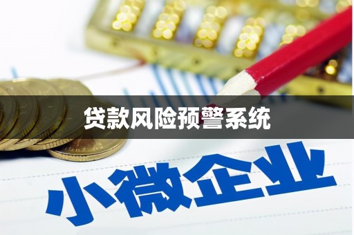 维西贷款风险预警系统